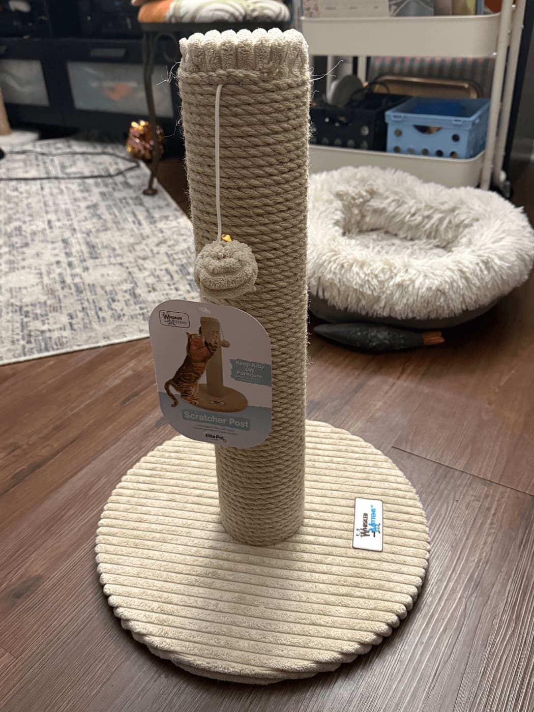 Phone photo of a Whisker Kittens scratcher post on a living-room floor with retail tags still on