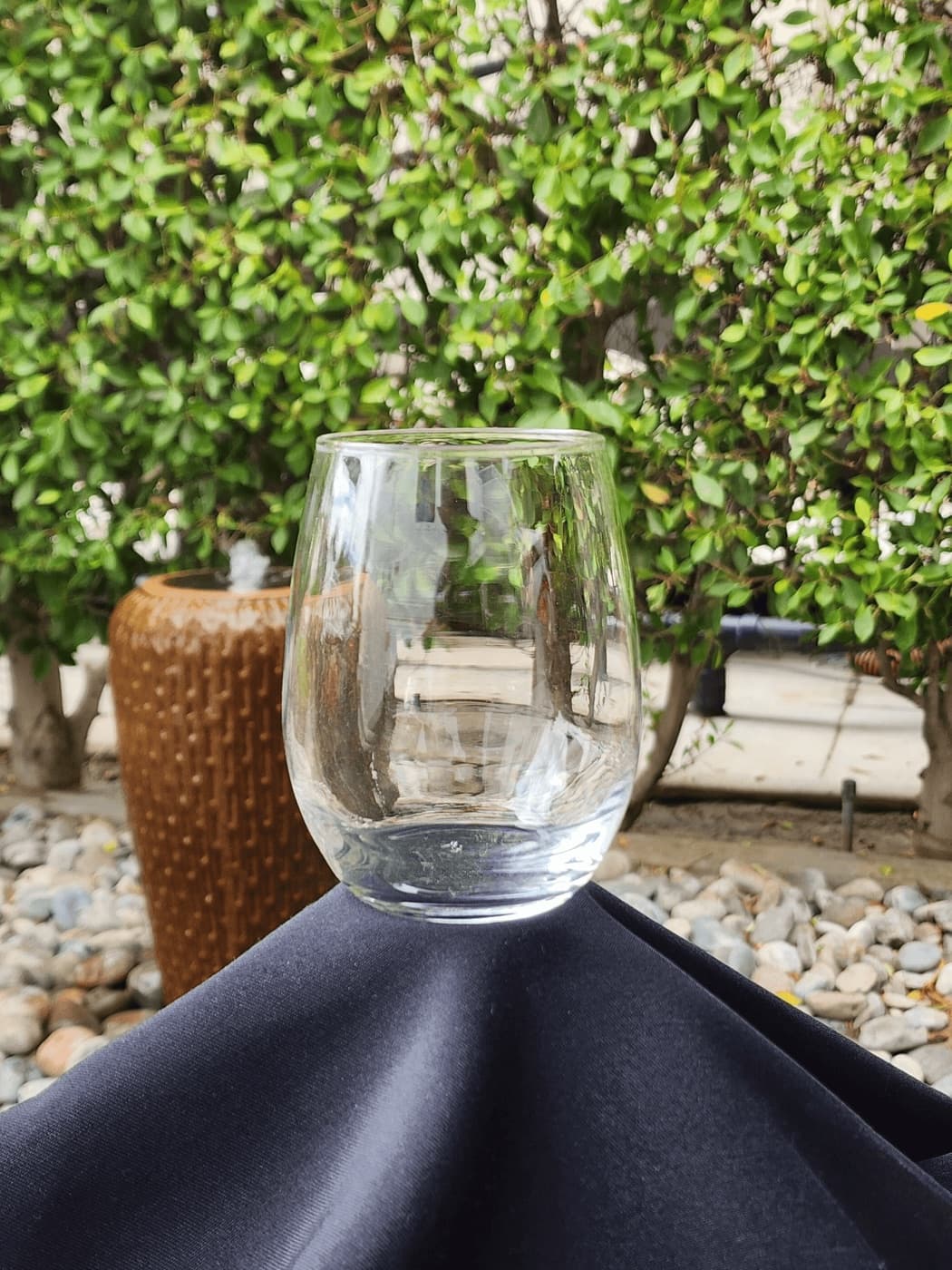 Simple outdoor phone photo of an empty stemless tumbler on fabric